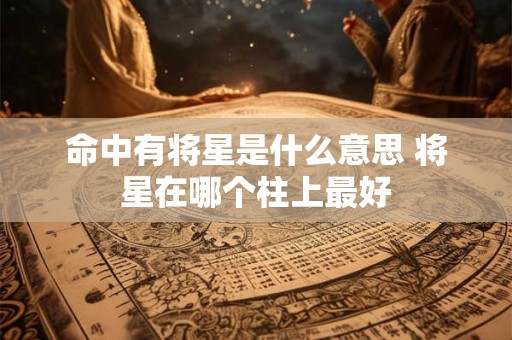 命中有将星是什么意思 将星在哪个柱上最好