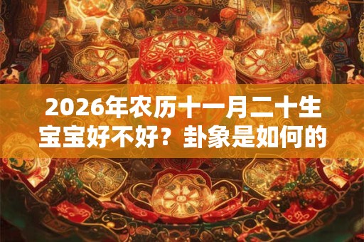 2026年农历十一月二十生宝宝好不好？卦象是如何的？