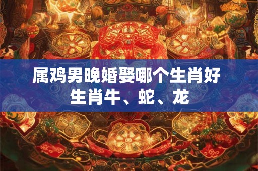 属鸡男晚婚娶哪个生肖好 生肖牛、蛇、龙