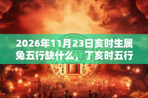 2026年11月23日亥时生属兔五行缺什么，丁亥时五行缺什么