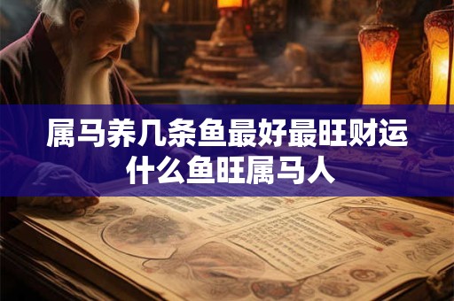 属马养几条鱼最好最旺财运 什么鱼旺属马人