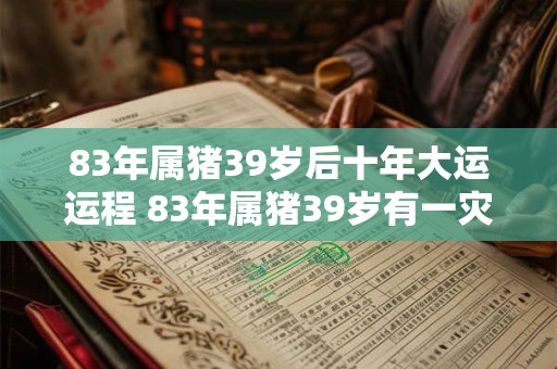 83年属猪39岁后十年大运运程 83年属猪39岁有一灾