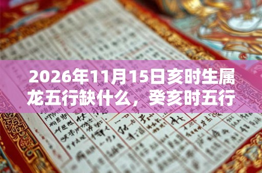 2026年11月15日亥时生属龙五行缺什么，癸亥时五行缺什么