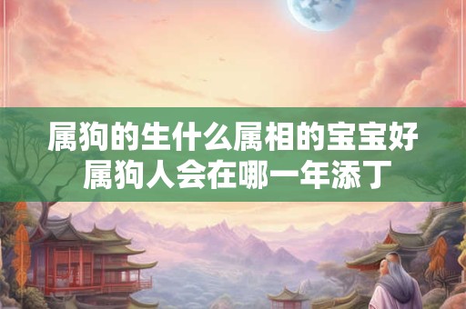属狗的生什么属相的宝宝好 属狗人会在哪一年添丁