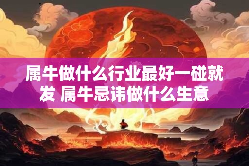 属牛做什么行业最好一碰就发 属牛忌讳做什么生意