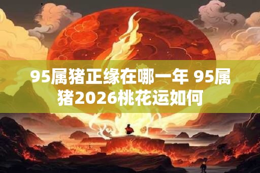 95属猪正缘在哪一年 95属猪2026桃花运如何