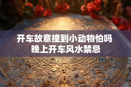 开车故意撞到小动物怕吗 晚上开车风水禁忌