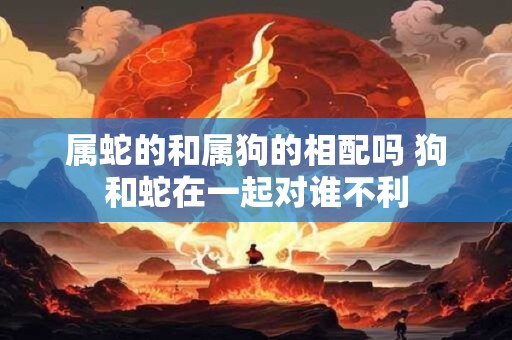 属蛇的和属狗的相配吗 狗和蛇在一起对谁不利
