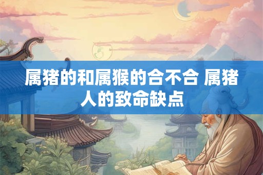 属猪的和属猴的合不合 属猪人的致命缺点
