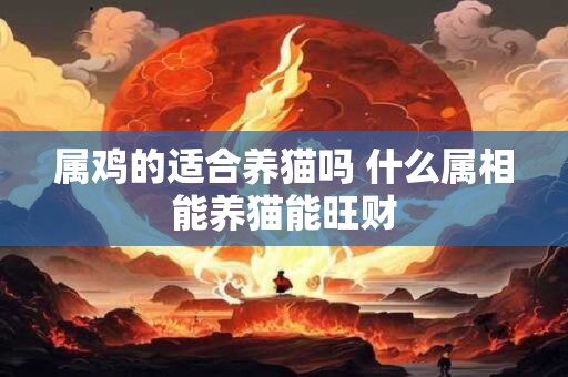 属鸡的适合养猫吗 什么属相能养猫能旺财