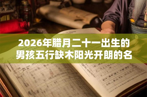 2026年腊月二十一出生的男孩五行缺木阳光开朗的名字精选