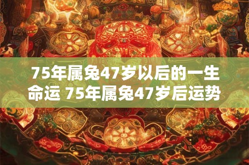 75年属兔47岁以后的一生命运 75年属兔47岁后运势