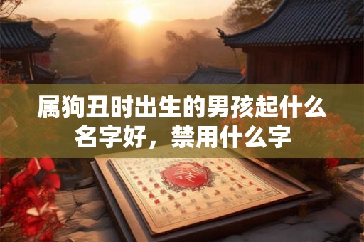 属狗丑时出生的男孩起什么名字好，禁用什么字