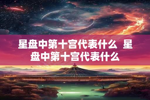星盘中第十宫代表什么  星盘中第十宫代表什么