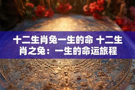 十二生肖兔一生的命 十二生肖之兔：一生的命运旅程