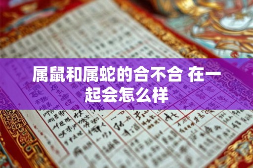 属鼠和属蛇的合不合 在一起会怎么样