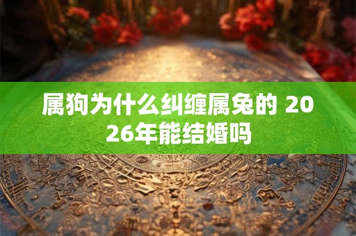 属狗为什么纠缠属兔的 2026年能结婚吗