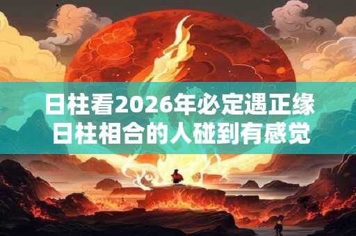 日柱看2026年必定遇正缘 日柱相合的人碰到有感觉吗