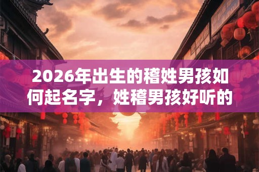 2026年出生的稽姓男孩如何起名字，姓稽男孩好听的名字