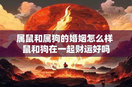 属鼠和属狗的婚姻怎么样 鼠和狗在一起财运好吗