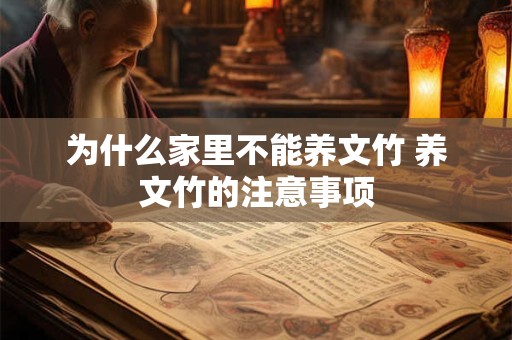 为什么家里不能养文竹 养文竹的注意事项