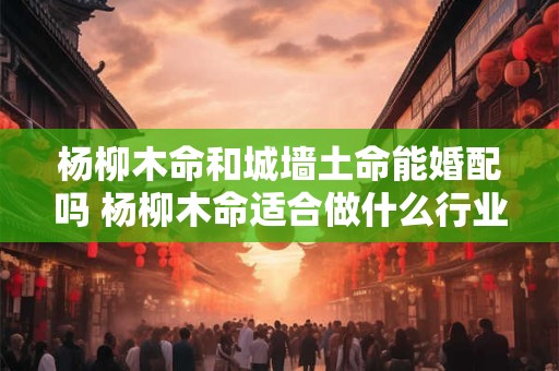 杨柳木命和城墙土命能婚配吗 杨柳木命适合做什么行业 杨柳木命和城墙土命能婚配吗 杨柳木命适合做什么行业