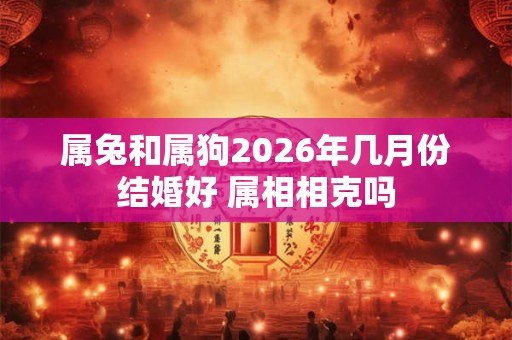 属兔和属狗2026年几月份结婚好 属相相克吗