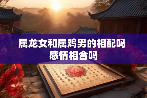 属龙女和属鸡男的相配吗 感情相合吗