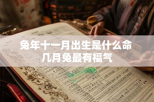 兔年十一月出生是什么命 几月兔最有福气 兔年十一月出生是什么命 几月兔最有福气