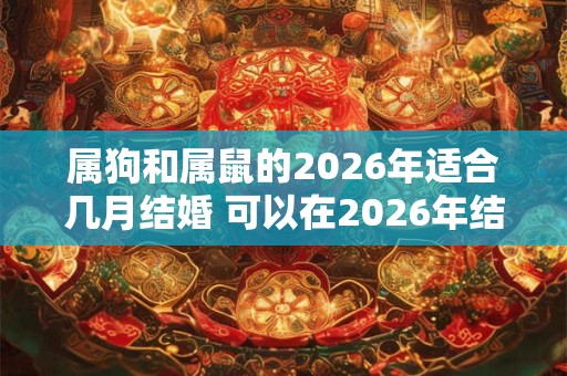 属狗和属鼠的2026年适合几月结婚 可以在2026年结婚吗 属狗和属鼠的2026年适合几月结婚 可以在2026年结婚吗