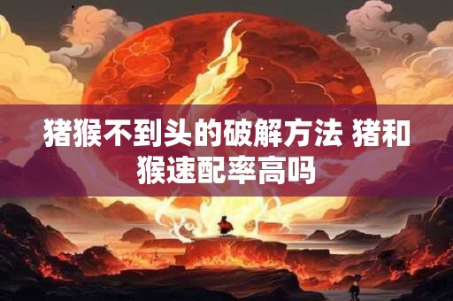 猪猴不到头的破解方法 猪和猴速配率高吗