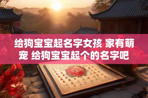 给狗宝宝起名字女孩 家有萌宠 给狗宝宝起个的名字吧！