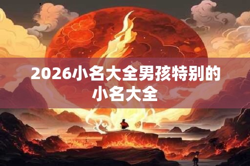 2026小名大全男孩特别的小名大全