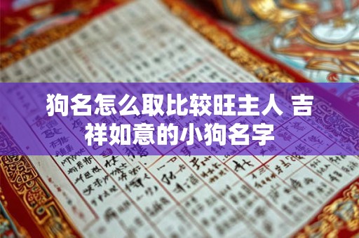 狗名怎么取比较旺主人 吉祥如意的小狗名字