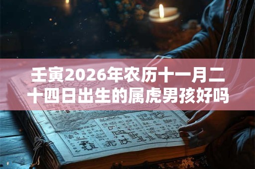 壬寅2026年农历十一月二十四日出生的属虎男孩好吗？