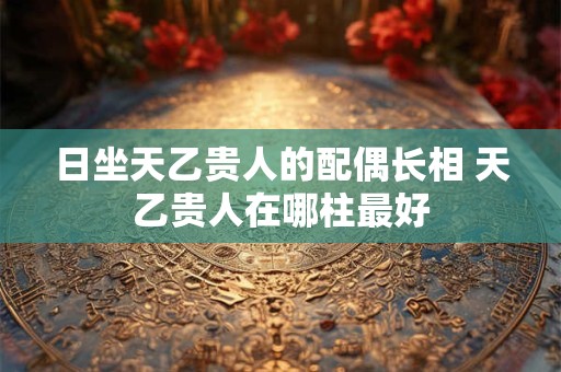 日坐天乙贵人的配偶长相 天乙贵人在哪柱最好 日坐天乙贵人的配偶长相 天乙贵人在哪柱最好
