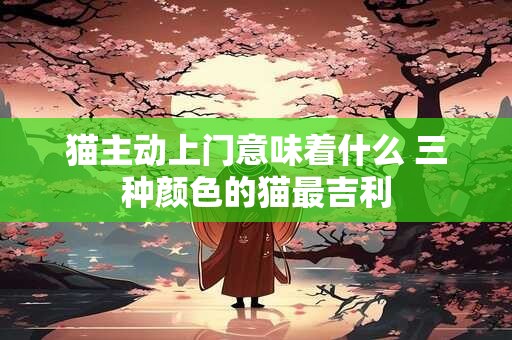 猫主动上门意味着什么 三种颜色的猫最吉利