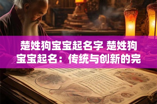 楚姓狗宝宝起名字 楚姓狗宝宝起名：传统与创新的完美结合