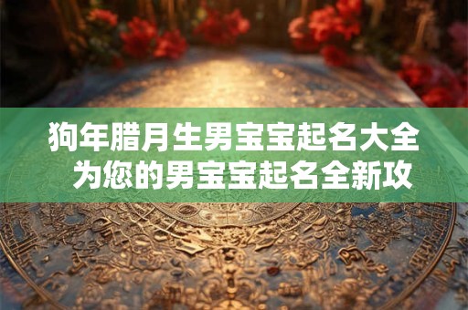 狗年腊月生男宝宝起名大全  为您的男宝宝起名全新攻略