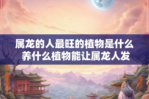 属龙的人最旺的植物是什么 养什么植物能让属龙人发财