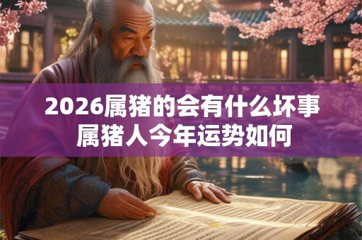 2026属猪的会有什么坏事 属猪人今年运势如何