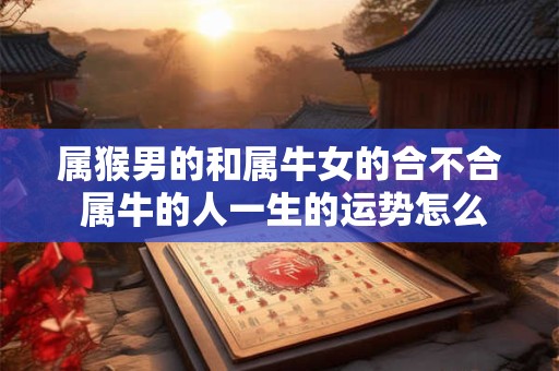 属猴男的和属牛女的合不合 属牛的人一生的运势怎么样