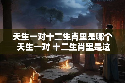 天生一对十二生肖里是哪个 天生一对 十二生肖里是这对！