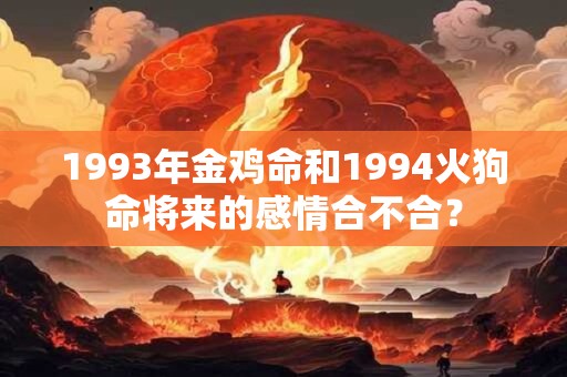 1993年金鸡命和1994火狗命将来的感情合不合？