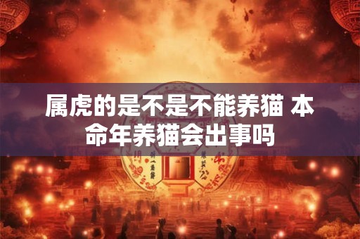 属虎的是不是不能养猫 本命年养猫会出事吗 属虎的是不是不能养猫 本命年养猫会出事吗