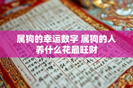 属狗的幸运数字 属狗的人养什么花最旺财 属狗的幸运数字 属狗的人养什么花最旺财