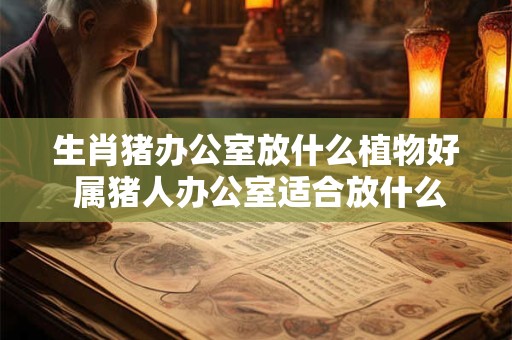 生肖猪办公室放什么植物好 属猪人办公室适合放什么东西