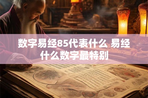 数字易经85代表什么 易经什么数字最特别