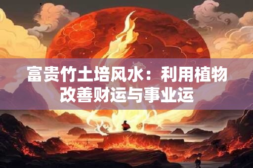 富贵竹土培风水：利用植物改善财运与事业运