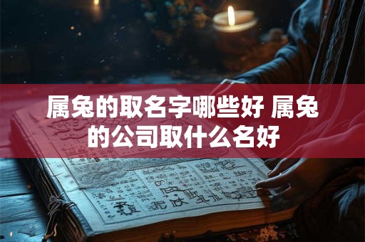 属兔的取名字哪些好 属兔的公司取什么名好 属兔的取名字哪些好 属兔的公司取什么名好